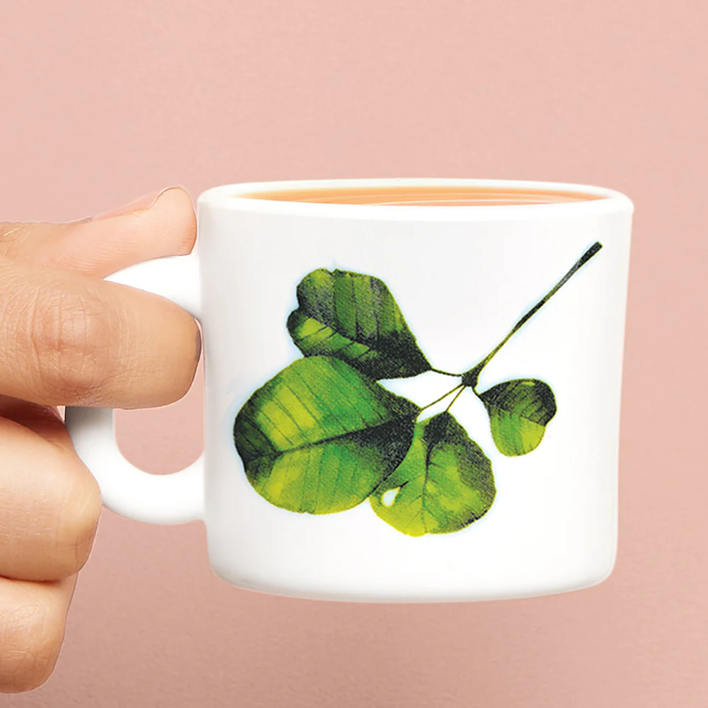 Larah by Borosil Oval Mug Set, 100ml x 6