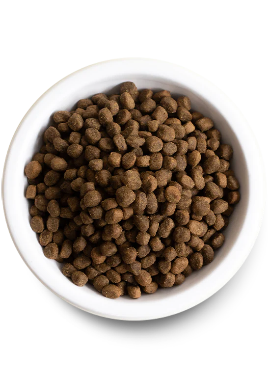 Open Farm Grass-Fed Beef Grain-Free Dry Dog Food