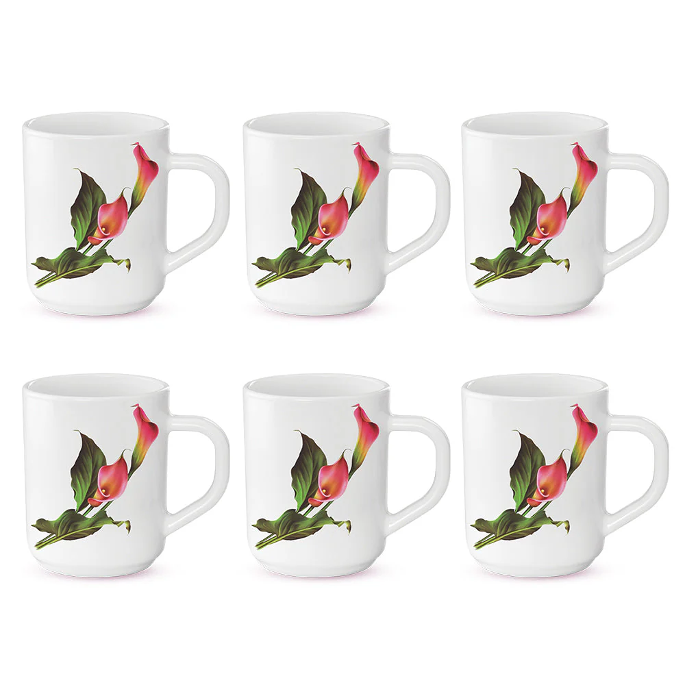Larah by Borosil Stargazer Mug Set, 240ml x 2