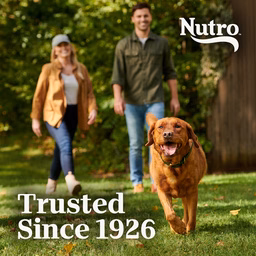 Nutro Natural Choice Adult Large Breed Dry Dog Food, Chicken and Brown Rice Recipe