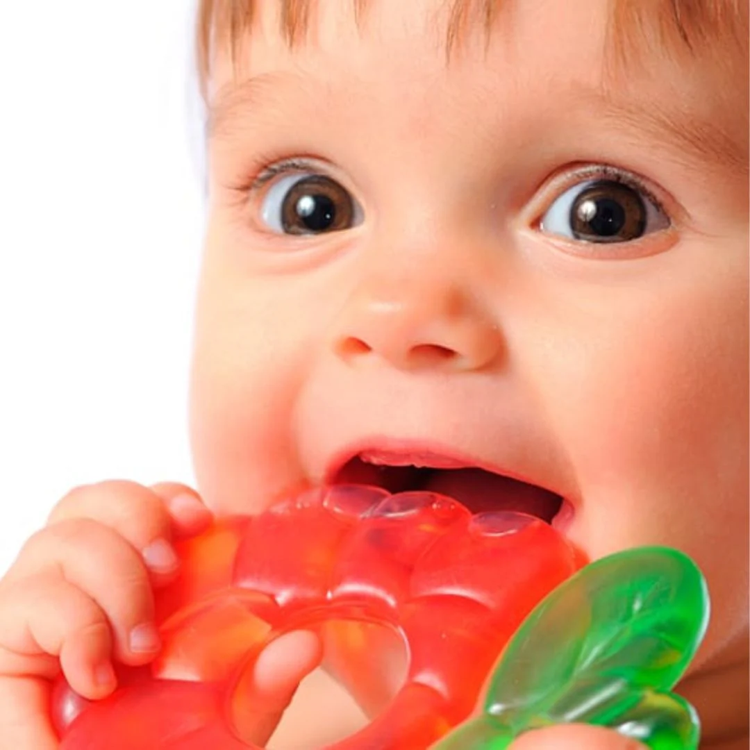 RASCAENCIAS XB-040 BEBETTO