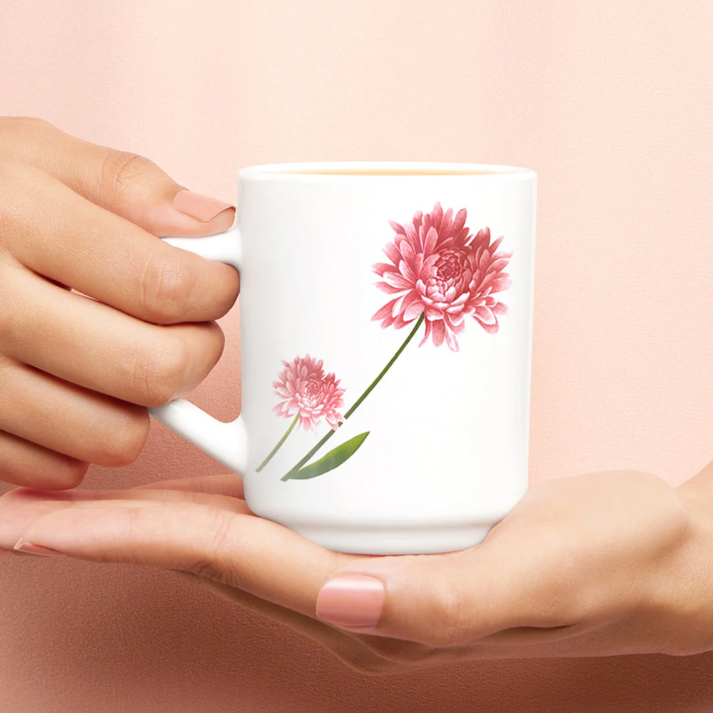 Larah by Borosil Belle Mug Set, 240ml x 2