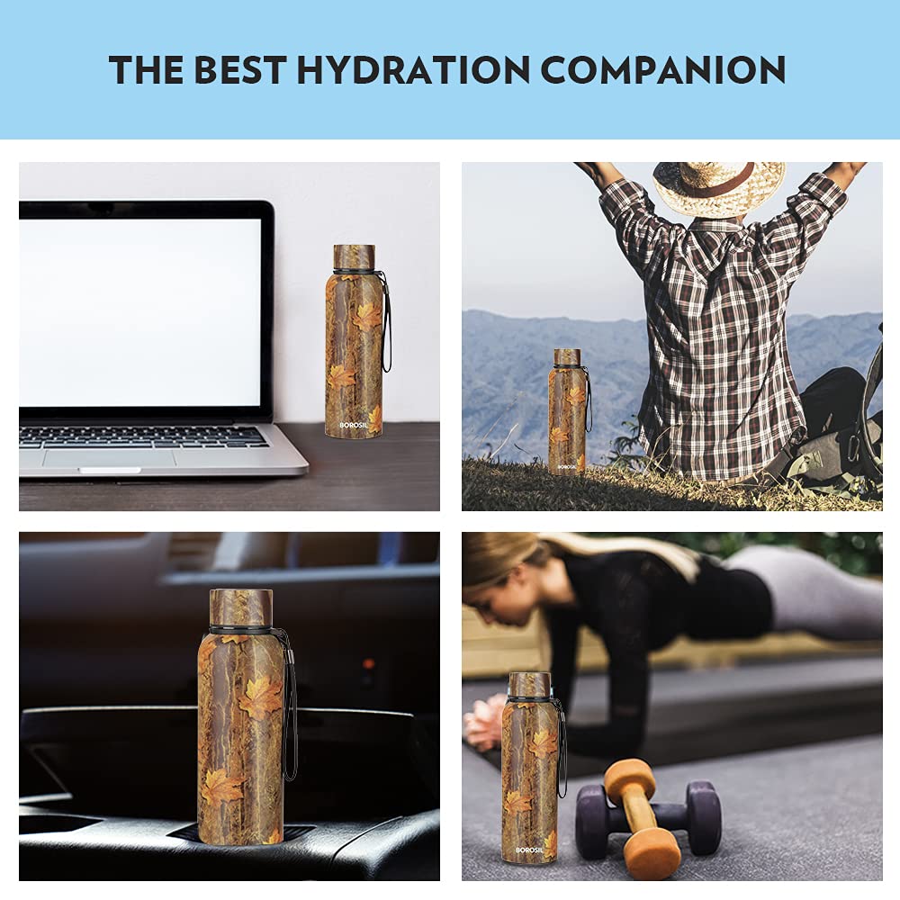 Borosil Trek Maple, 700ml