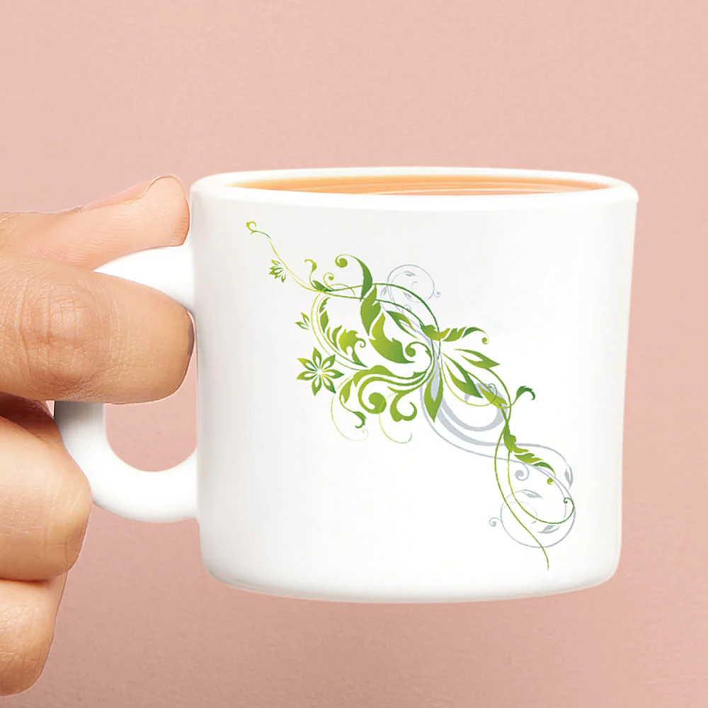 Larah by Borosil Erba Mug Set, 240ml x 2