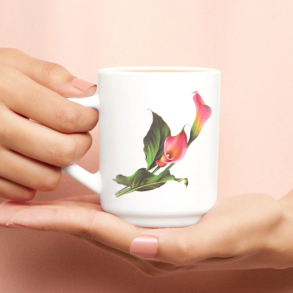 Larah by Borosil Stargazer Mug Set, 240ml x 2