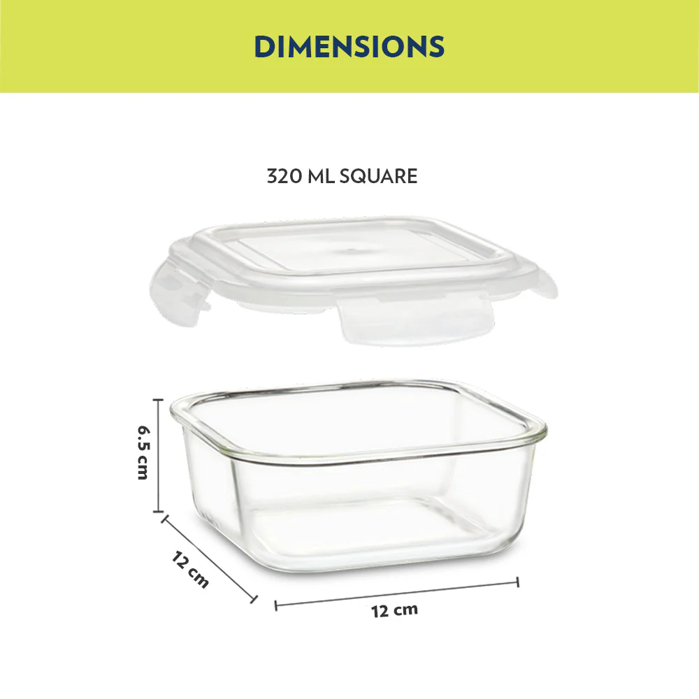 Borosil Teal Glass Lunch Box, Square x 2 (Flat), 320ml x 2
