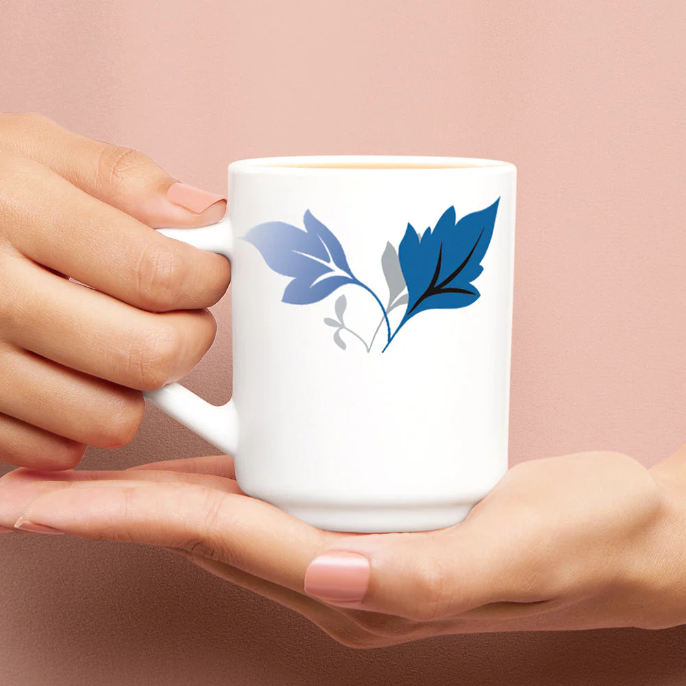 Larah by Borosil Ageria Mug Set, 240ml x 2