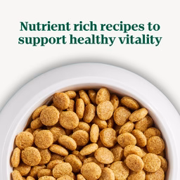 Nutro Natural Choice Adult Large Breed Dry Dog Food, Chicken and Brown Rice Recipe