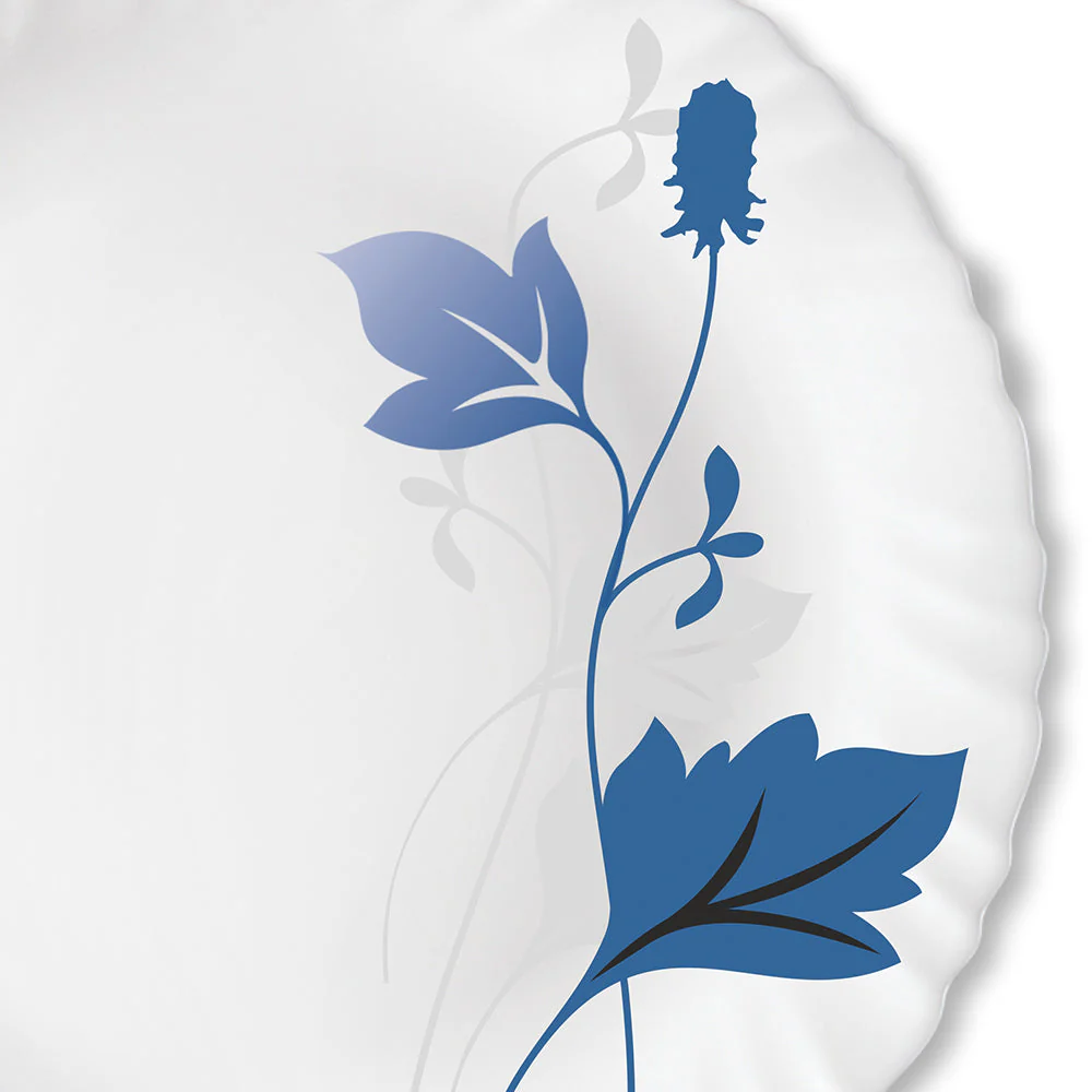 Larah by Borosil Ageria Full Plate Set, 6 pc