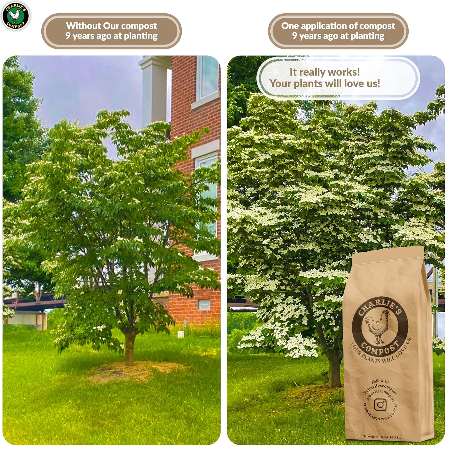 Garden and Plant Compost 10lb