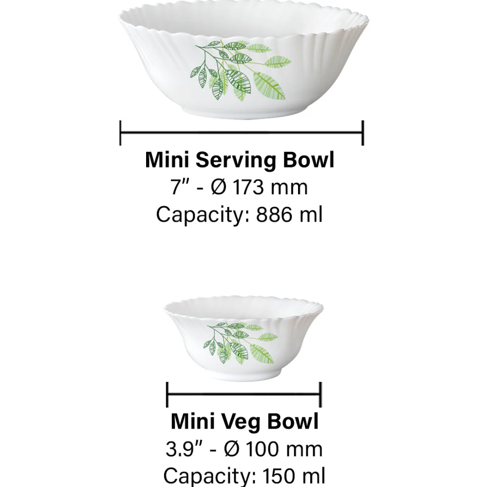 Larah by Borosil Fauna 5 pc Pudding Set