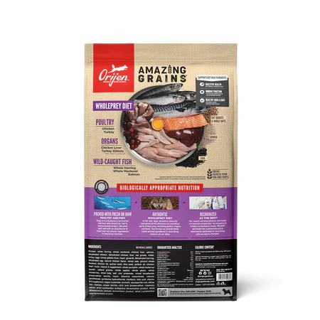 ORIJEN Amazing Grains Puppy Large High Protein Dry Dog Food