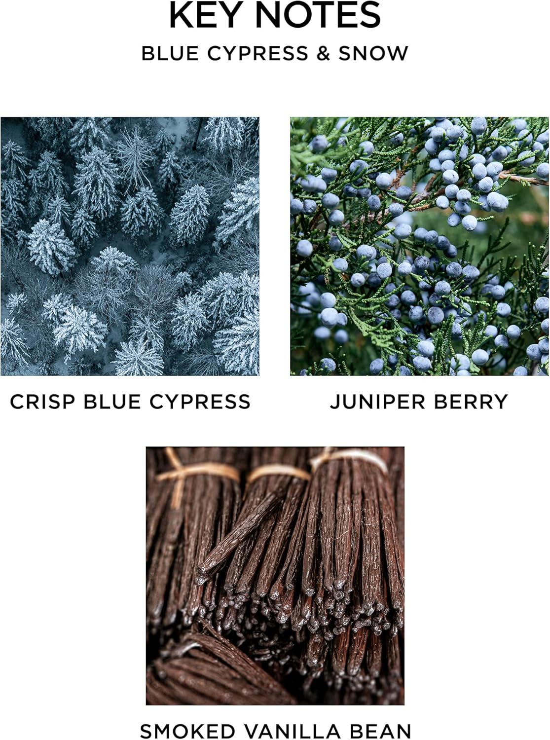 Scented Classic Candle, Holiday - 8.1 oz - Up to 60-Hour Burn Time - Reusable Glass Vessel