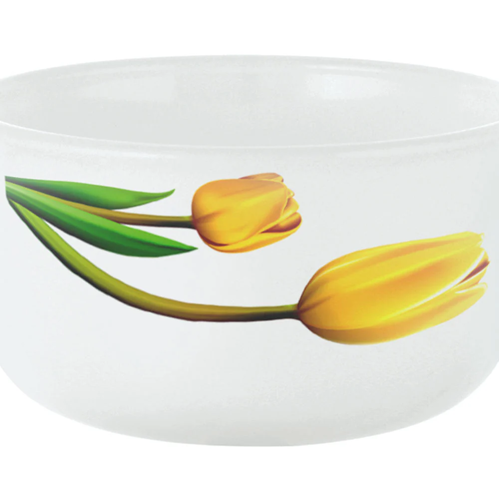 Larah by Borosil Lyana Dinner Set, 6 pc