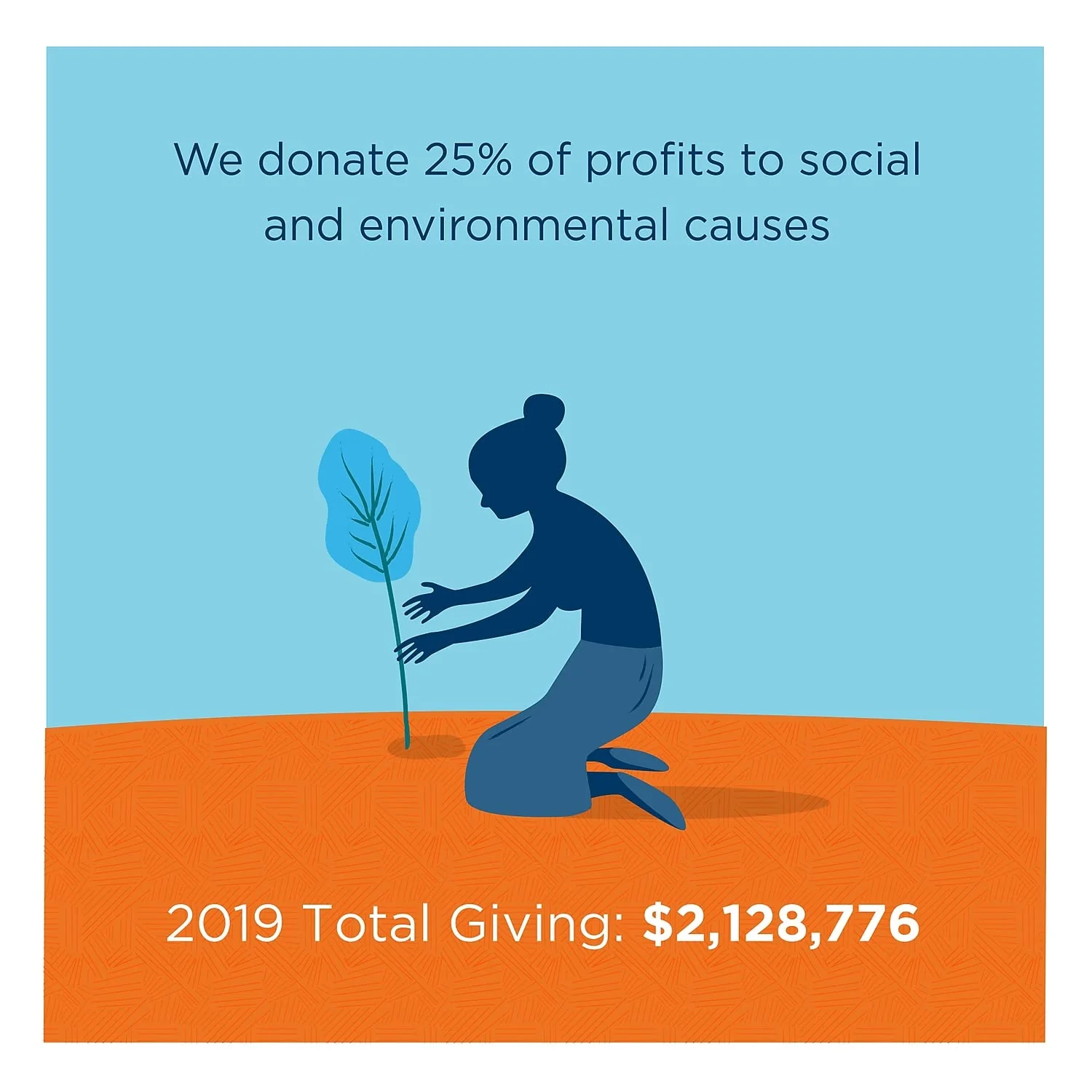 100% Compostable Plates, Made from Unbleached Plant Fiber, 10