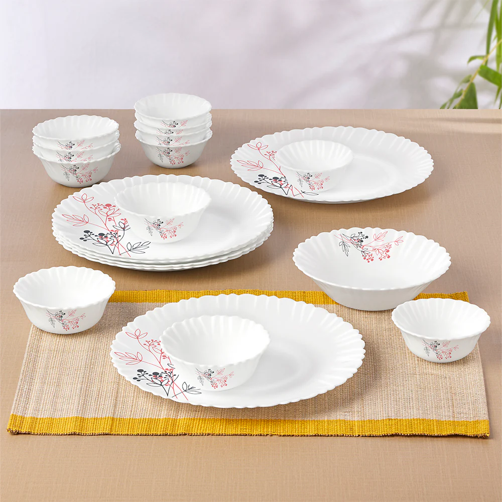 Larah by Borosil Aspen 19 pc Dinner Set