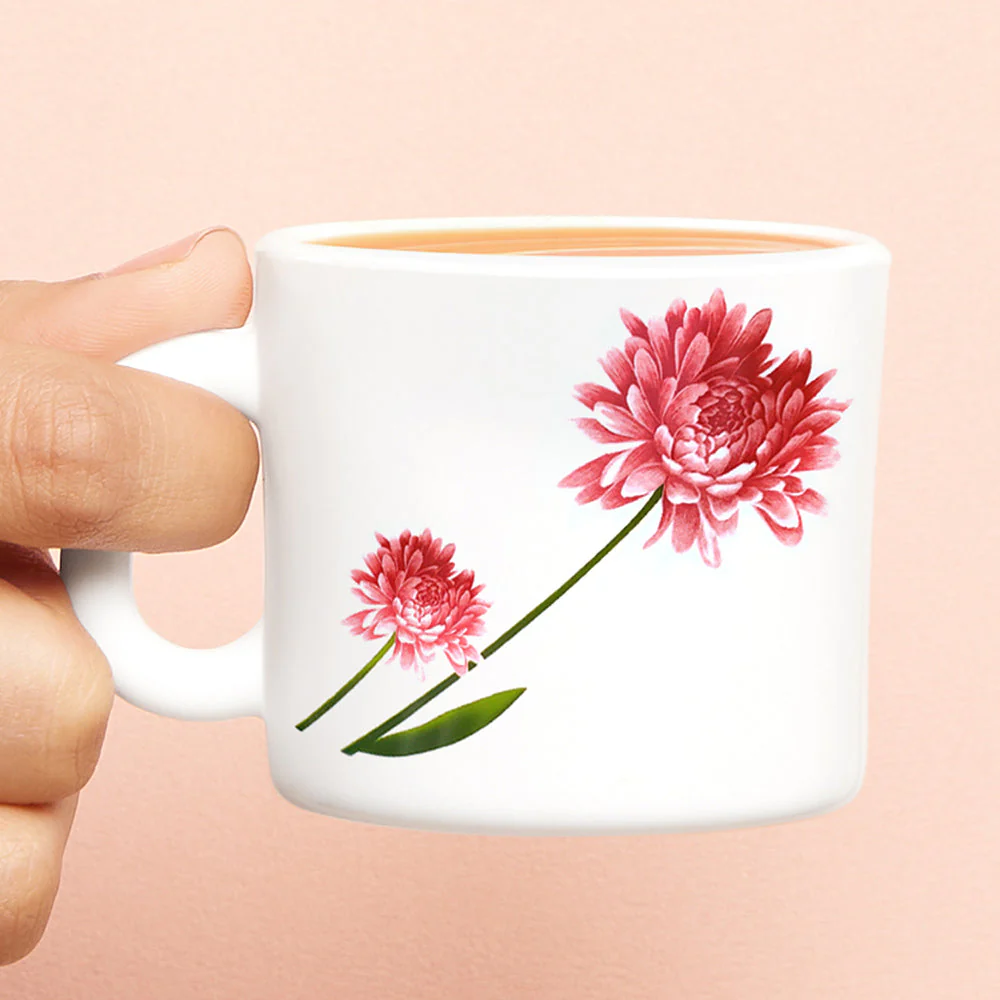 Larah by Borosil Belle Mug Set, 240ml x 2