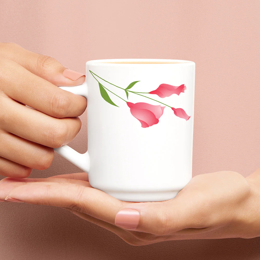 Larah by Borosil Diana Mug Set, 240ml x 2