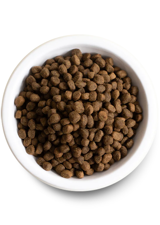 Open Farm Wild-Caught Salmon & Ancient Grains Dry Dog Food