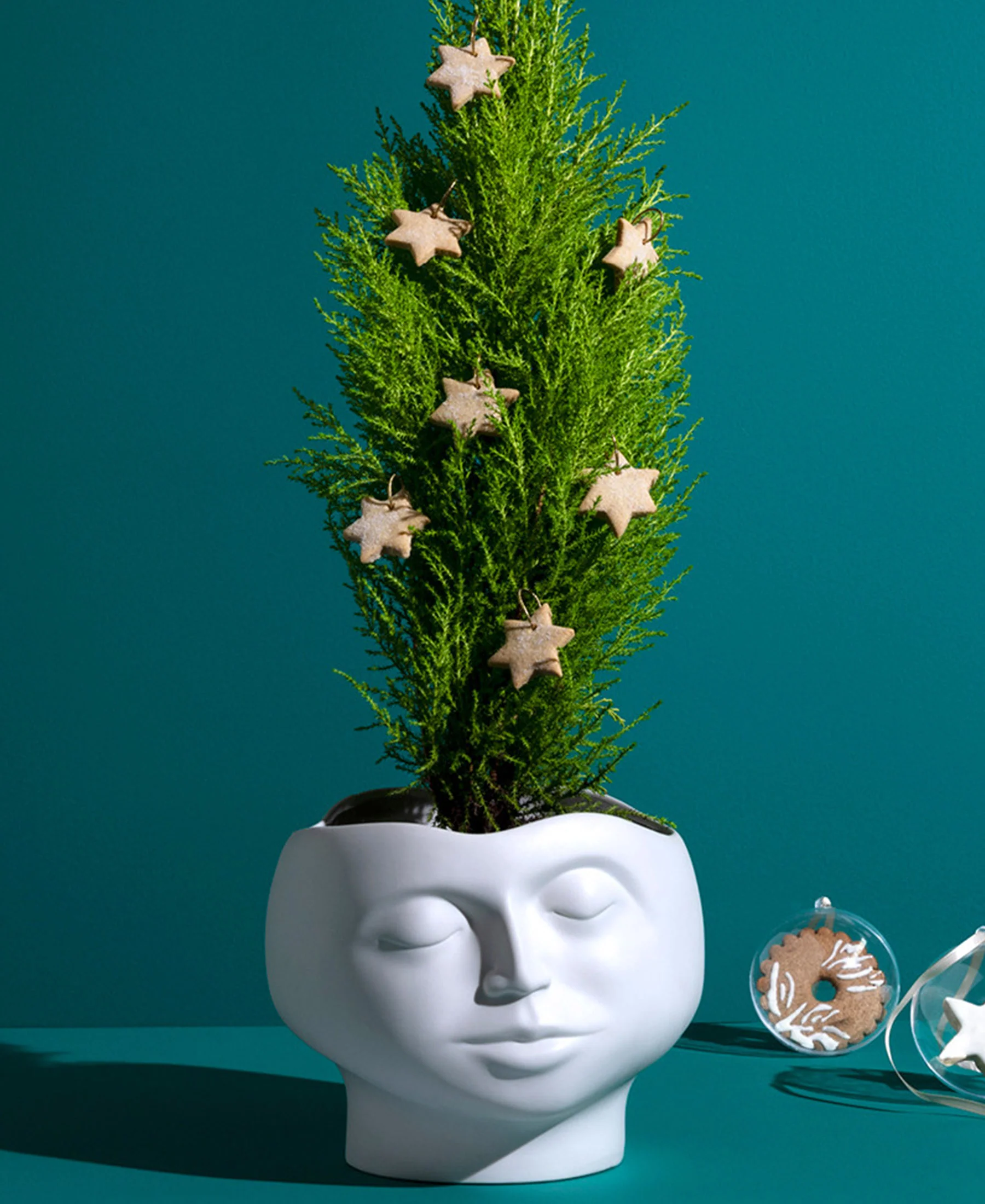 Carrol Boyes Large Enigma Bowl  - White