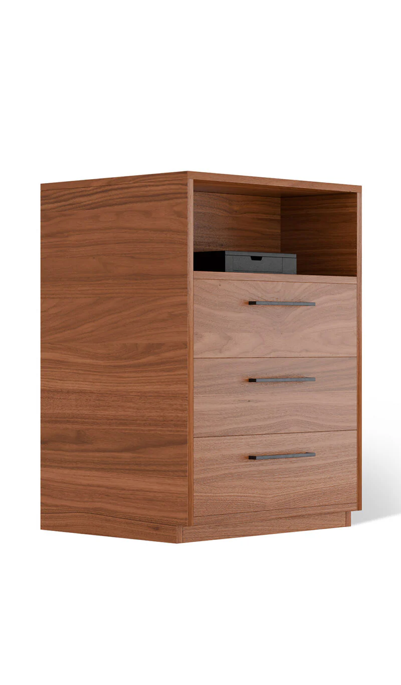 BlumSafe Concealment Cabinet with Hidden Safe