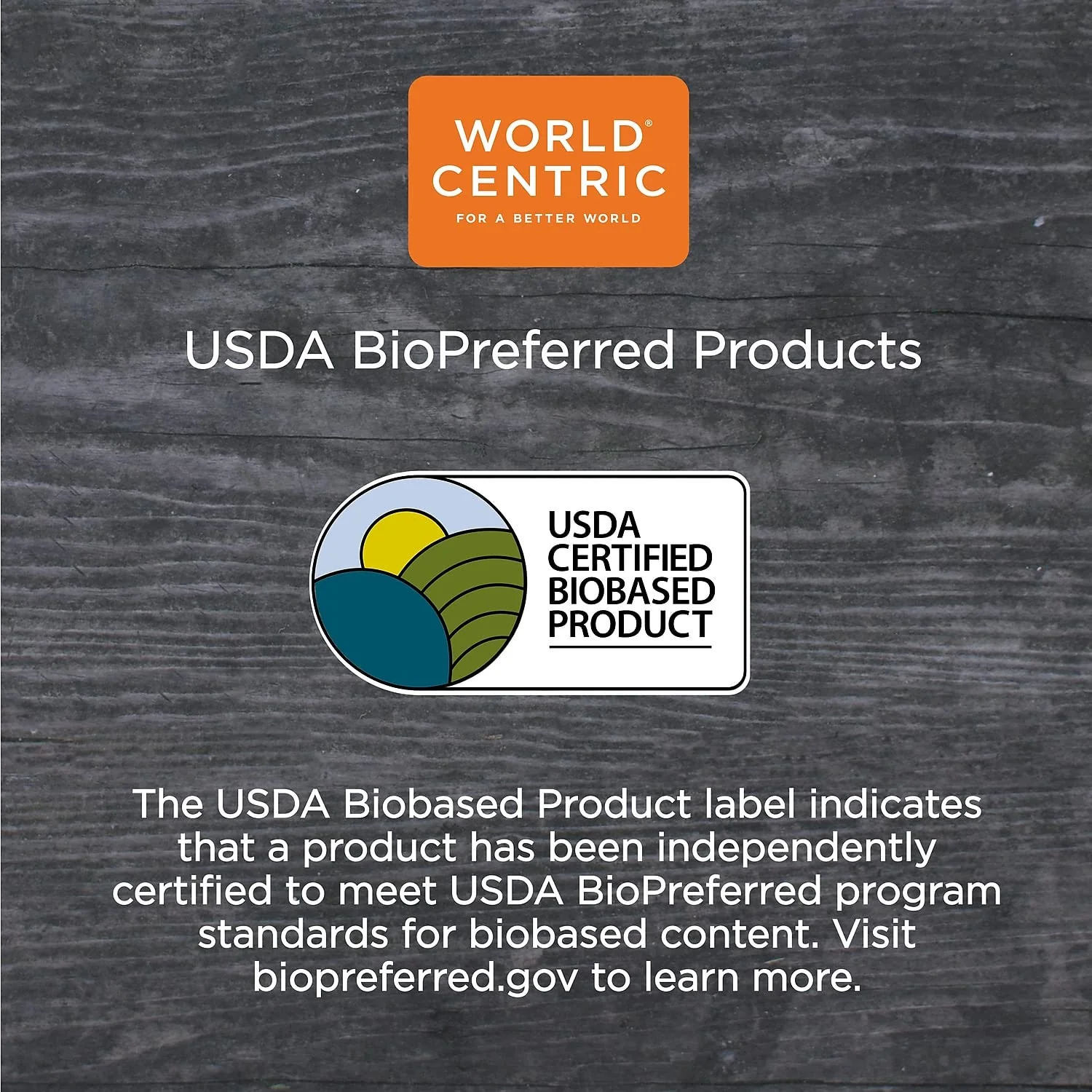 100% Compostable Plates, Made from Unbleached Plant Fiber, 10