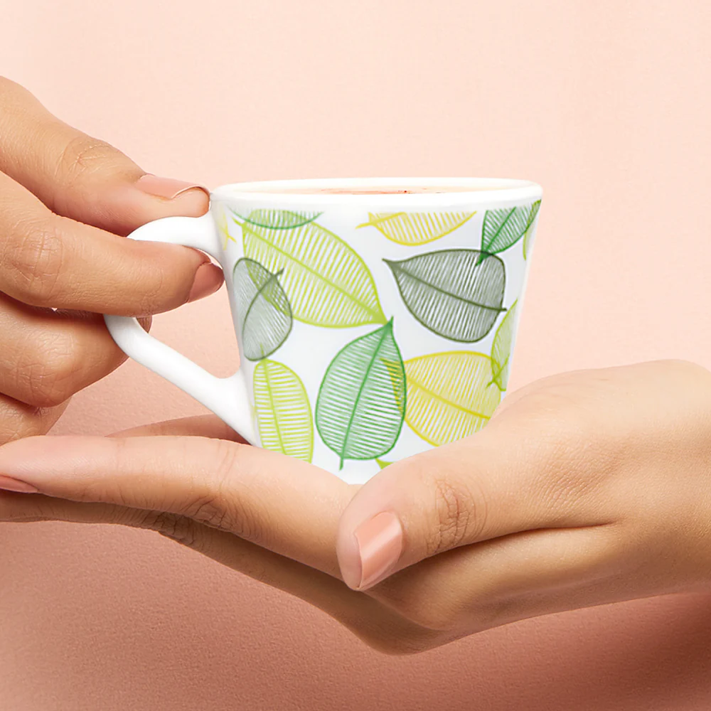 Larah by Borosil Novelty Noma Mug Set, 110ml x 6