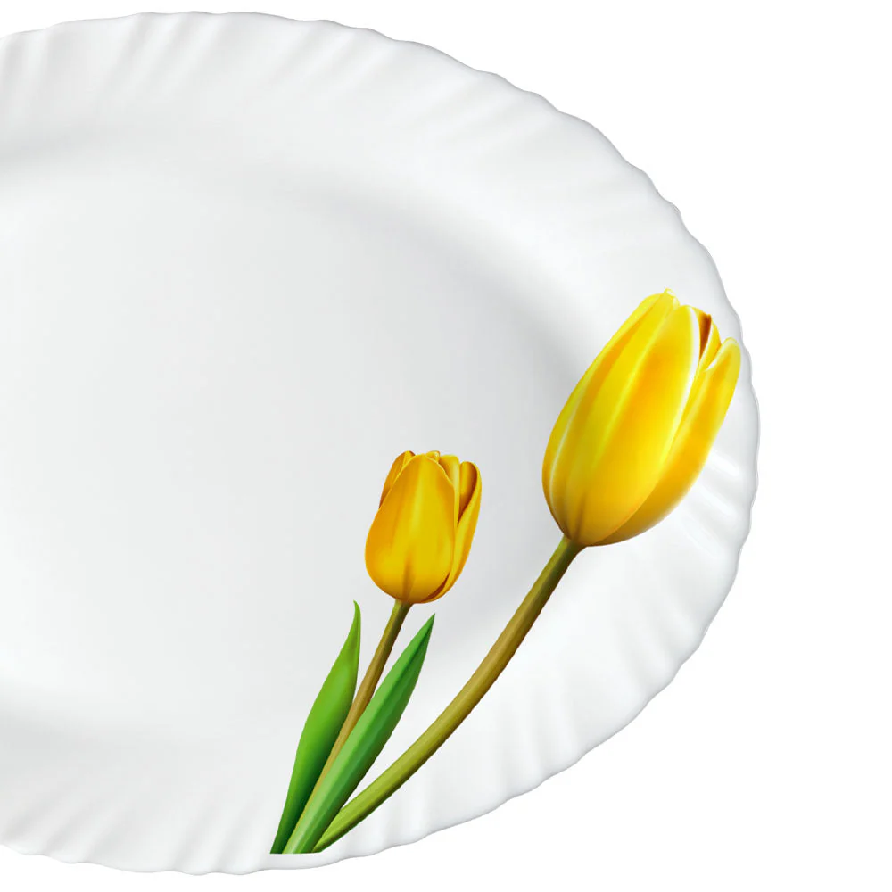 Larah by Borosil Lyana Dinner Set, 6 pc