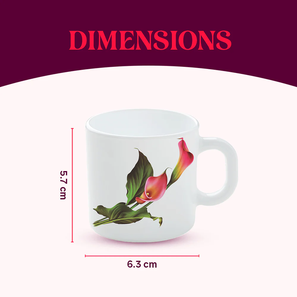 Larah by Borosil Stargazer Mug Set, 100ml x 6