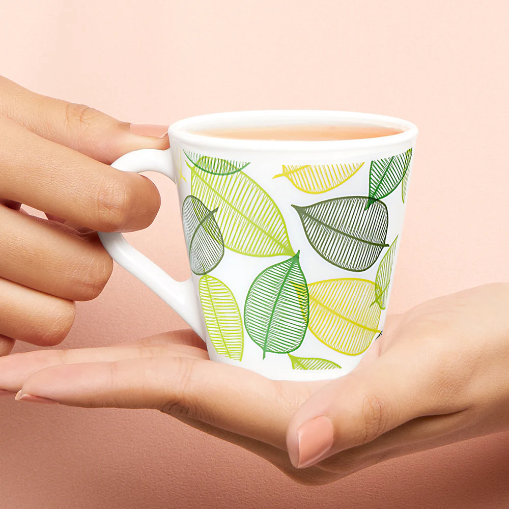 Larah by Borosil Novelty Noma Mug Set, 160ml x 6