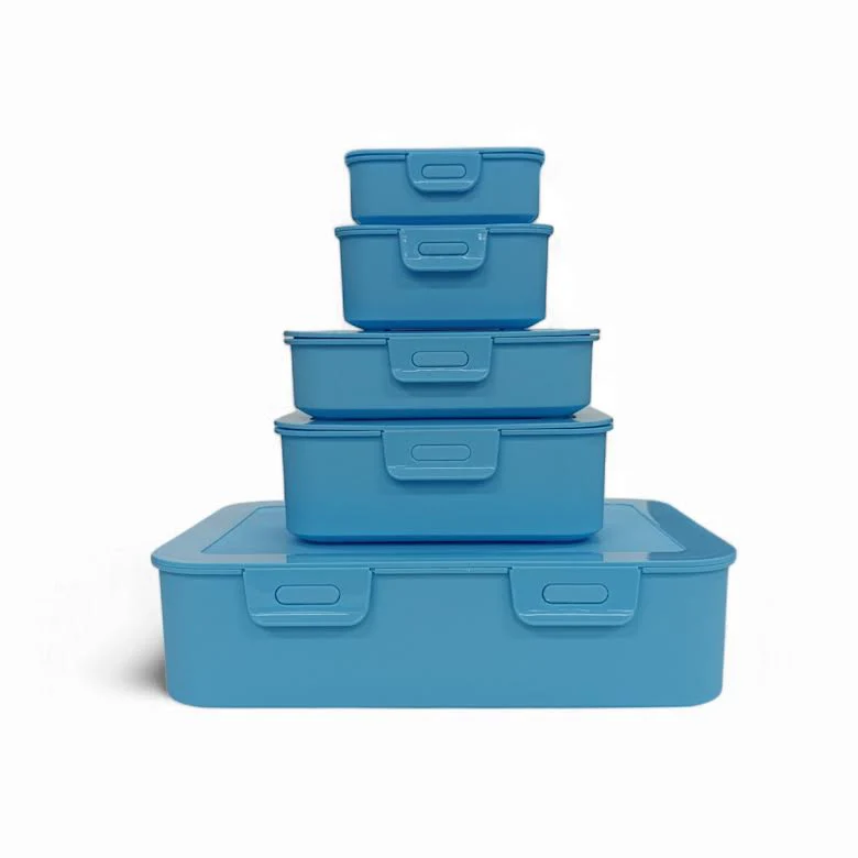 CH 5 Piece Container Set Blue