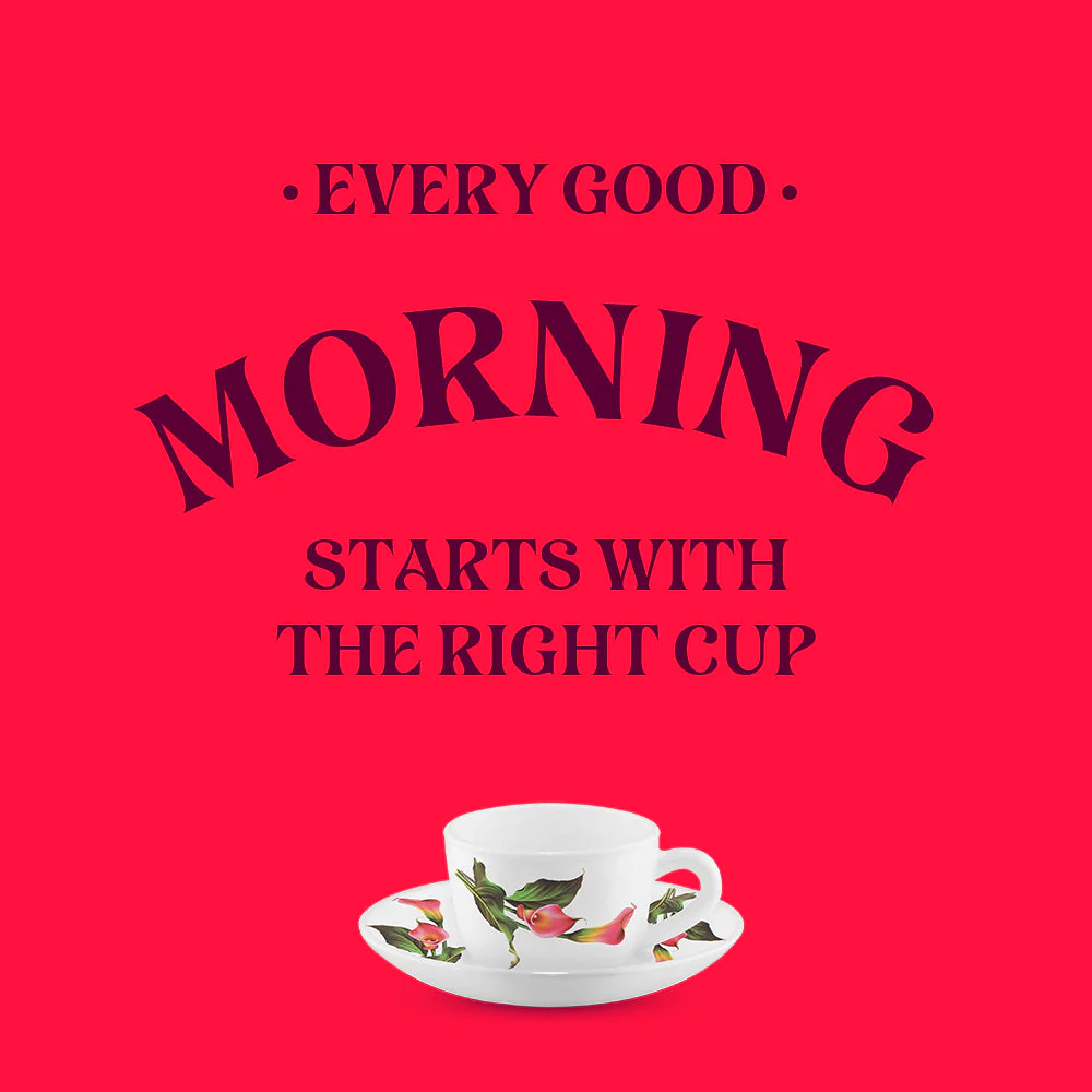 Larah by Borosil Stargazer Cup n Saucer Set, 140ml x 8