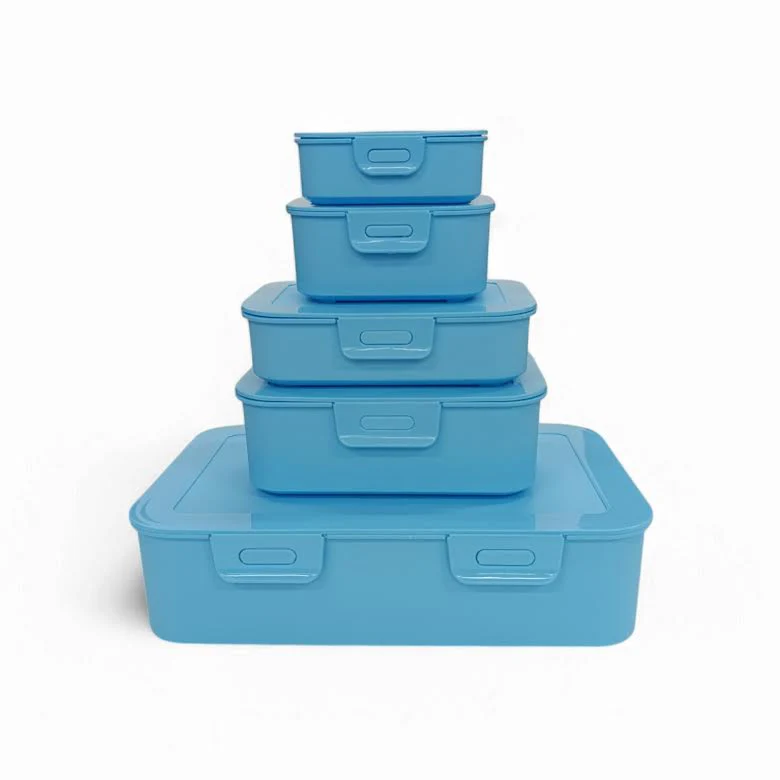 CH 5 Piece Container Set Blue