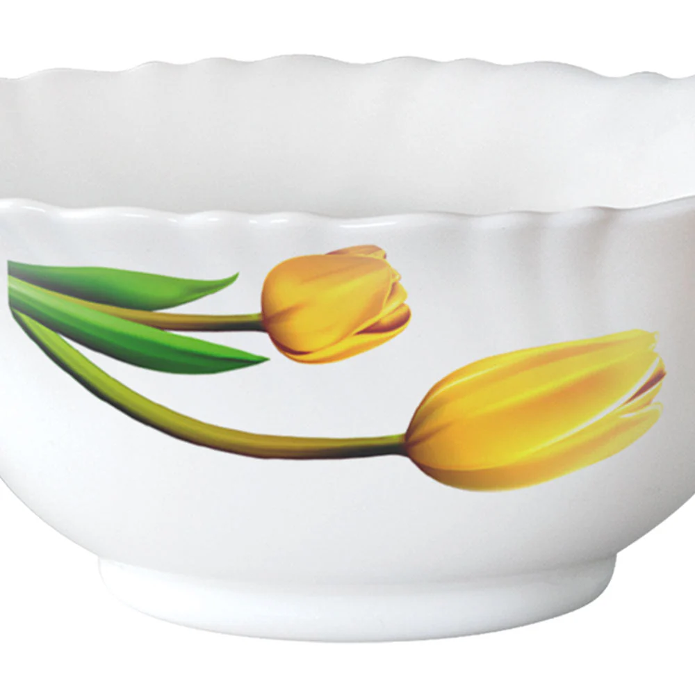 Larah by Borosil Lyana Dinner Set, 6 pc