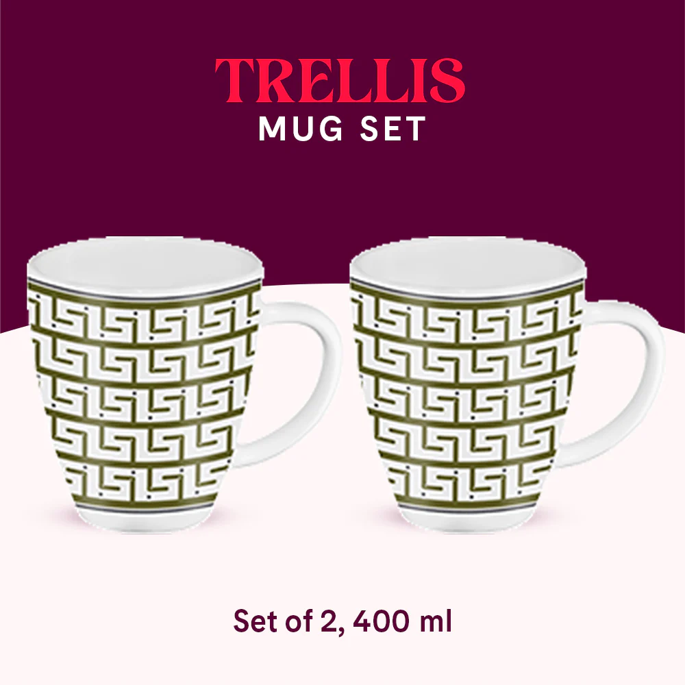 Larah by Borosil Trellis Mug Set, 400ml x 2