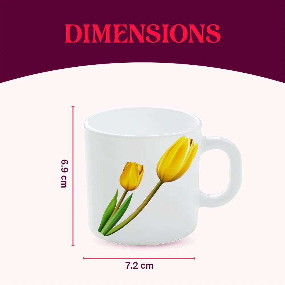 Larah by Borosil Lyana Mug Set, 180ml x 6