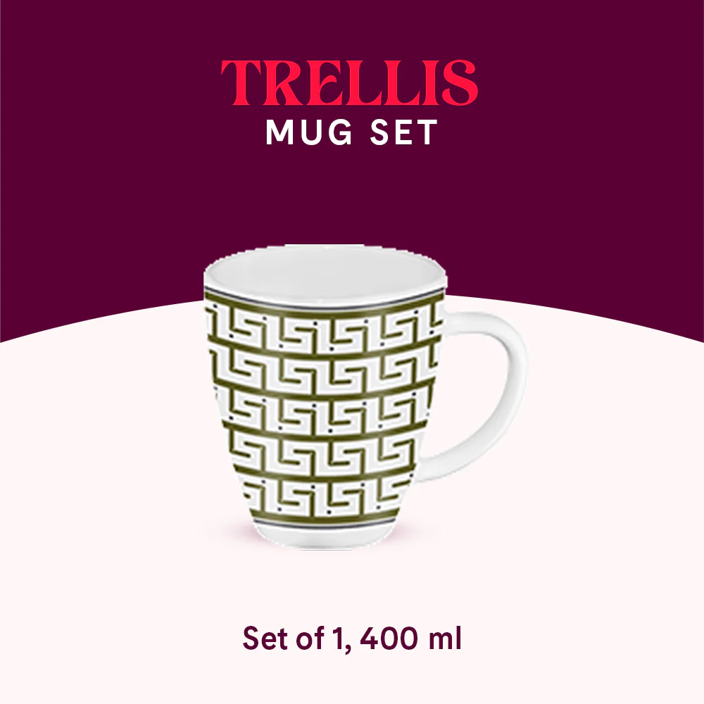 Larah by Borosil Trellis Mug, 390ml