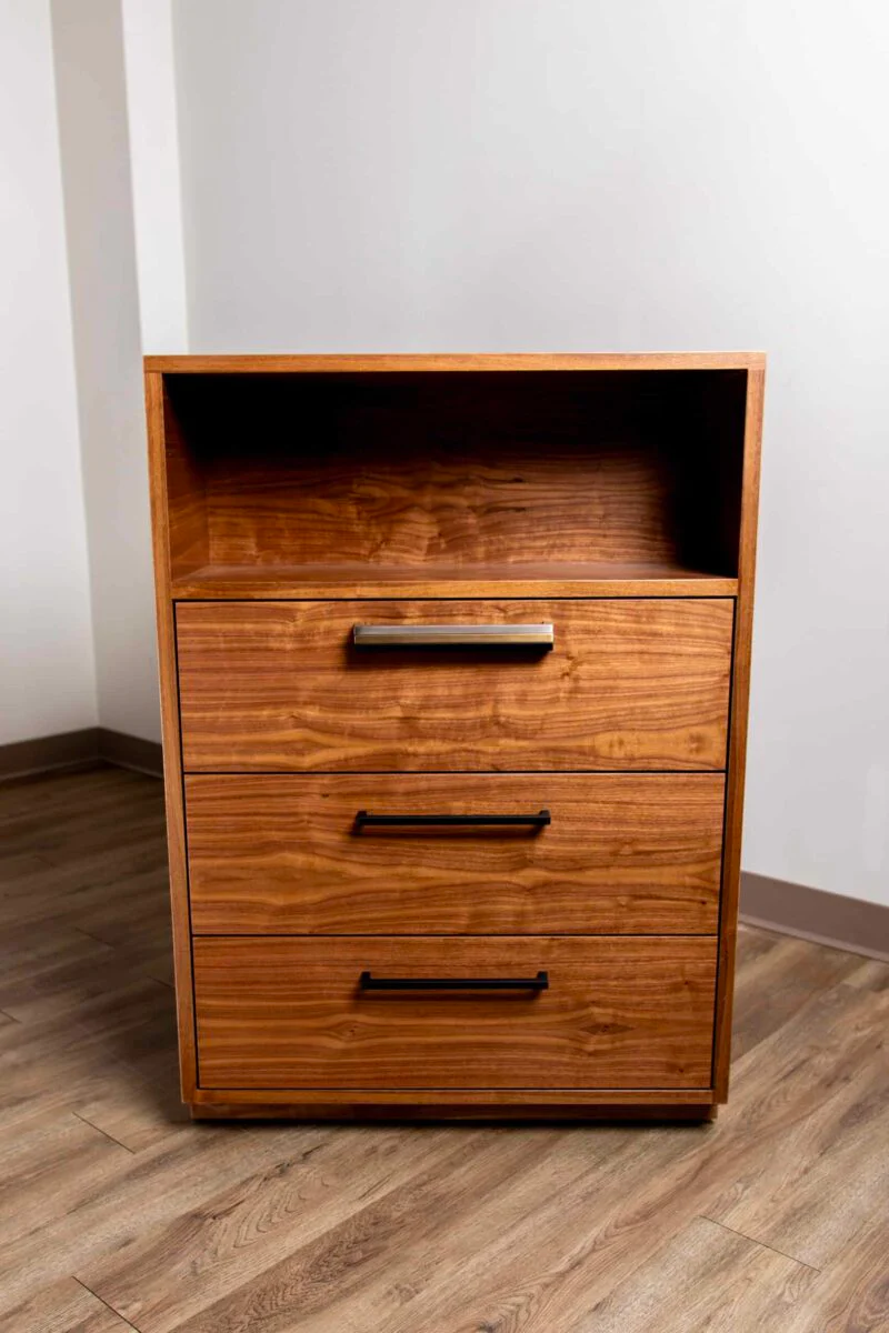 BlumSafe Concealment Cabinet with Hidden Safe