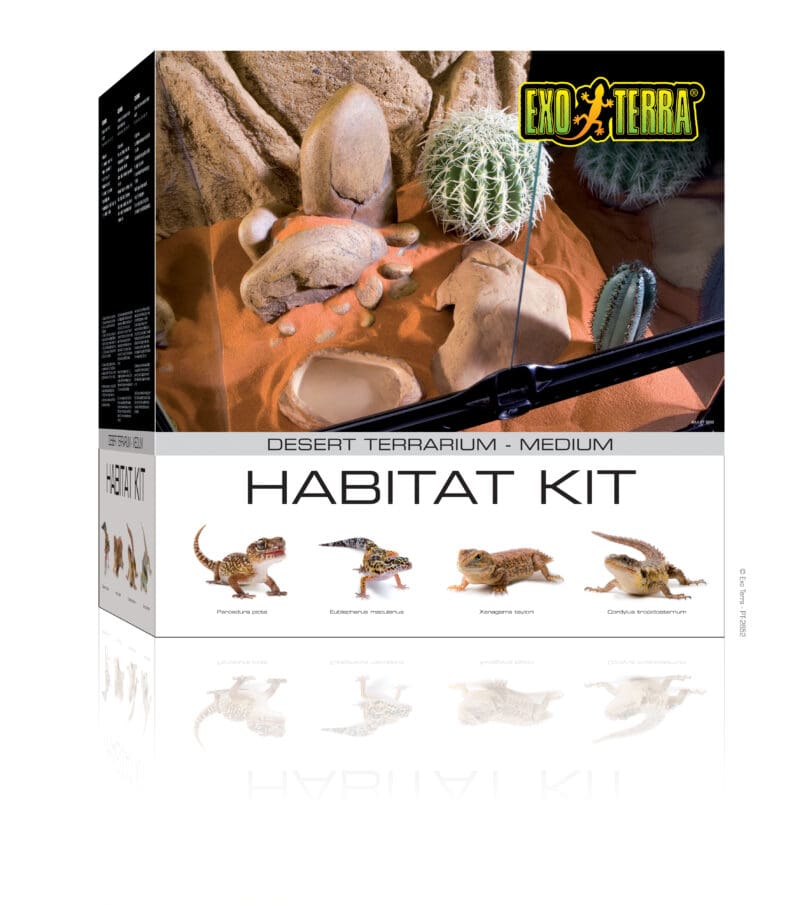 Exo Terra Desert Habitat Kit Medium