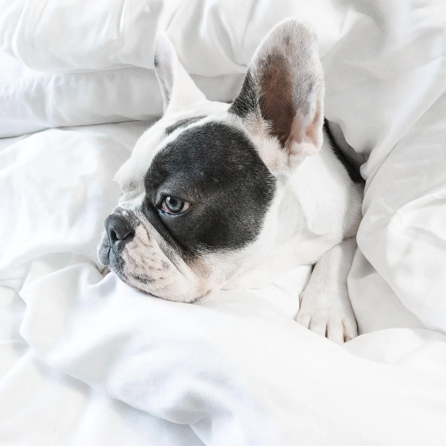 4 Pc Bamboo Sheet Set, King, Deep Pocket Fitted up to 17 Inch, Soft and Cool Sheets in Matte White