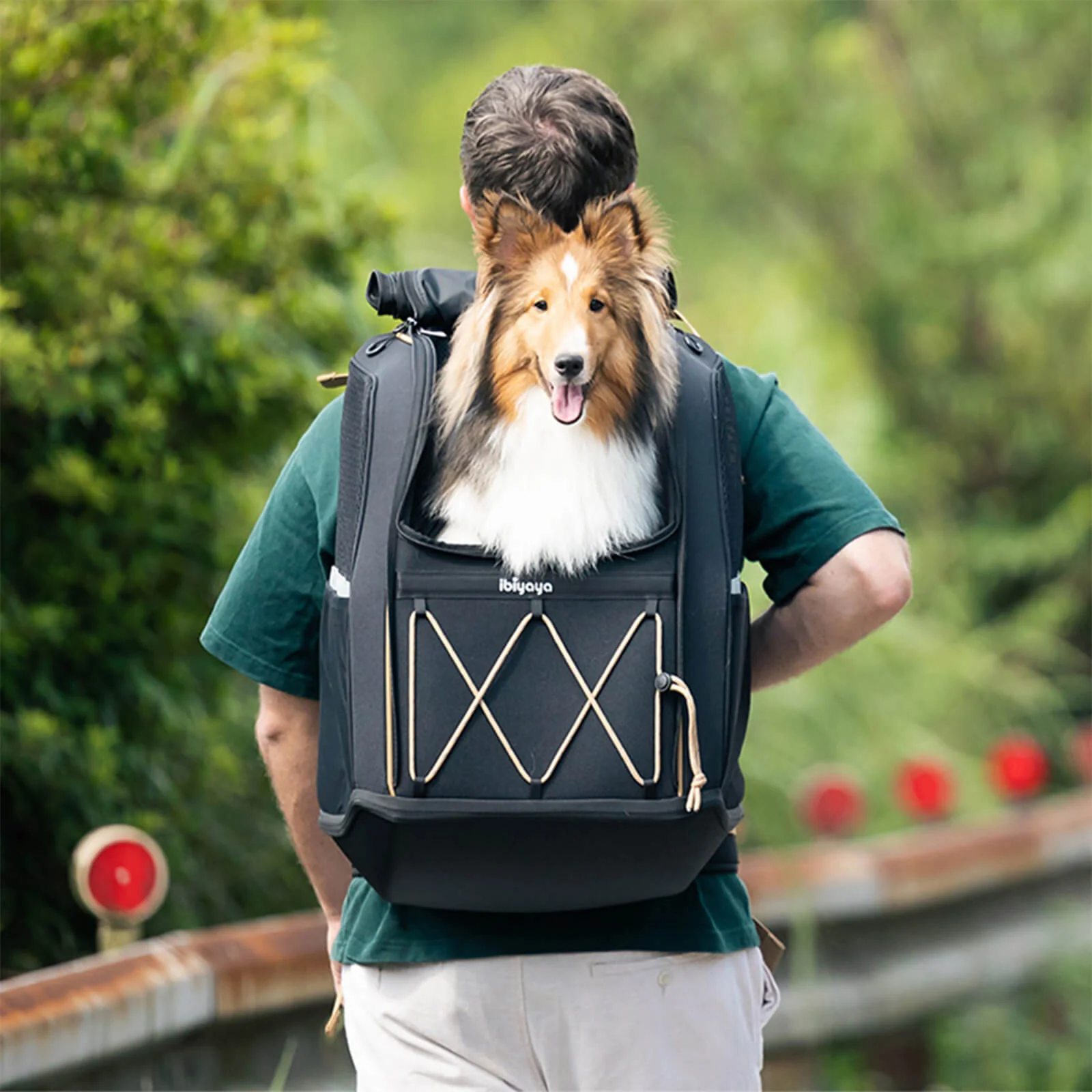 Champion Large Dog Carrier Backpack, with Optional Wheels