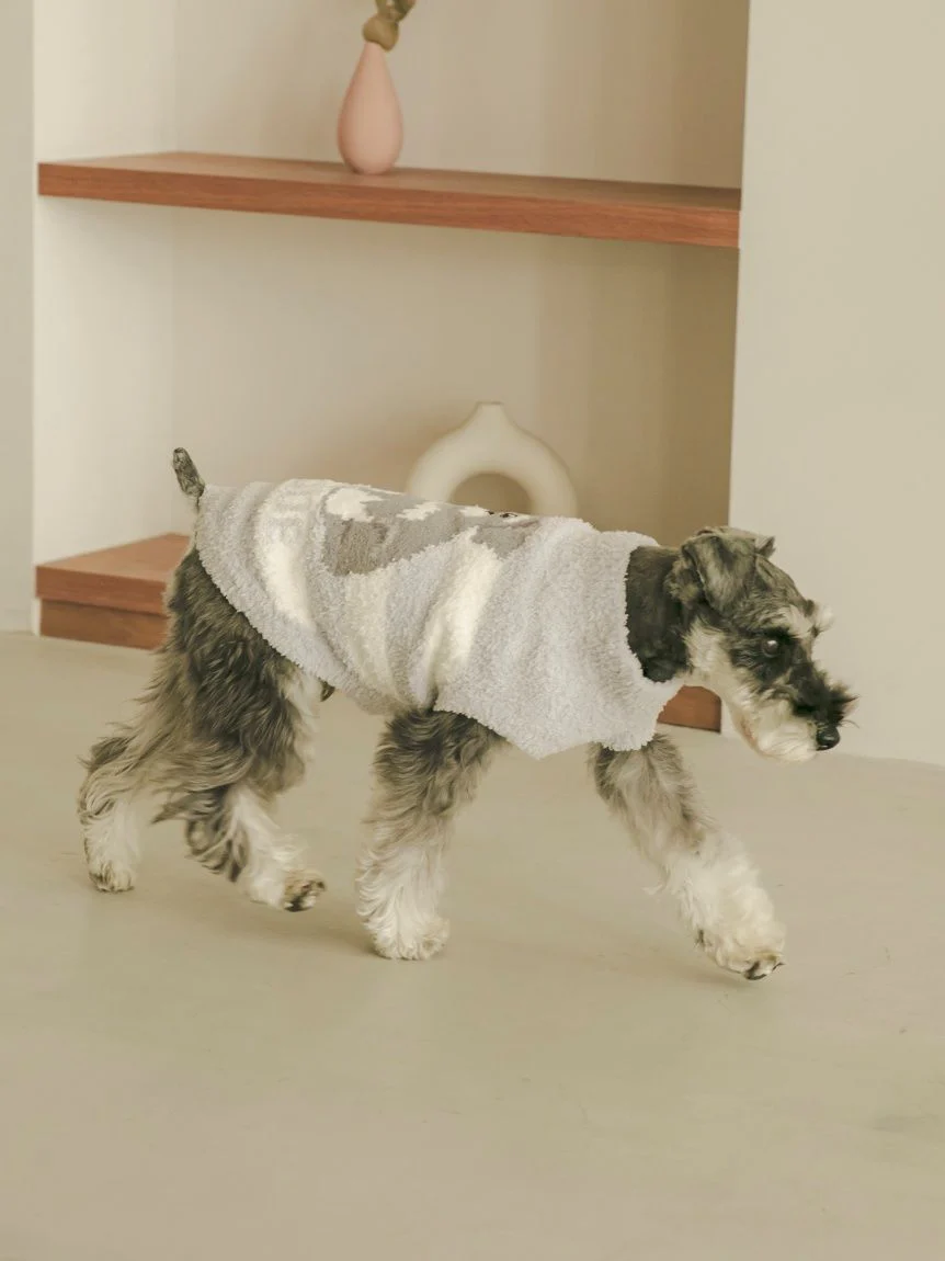 CAT&DOG Baby Moco Schnauzer Pet Clothes