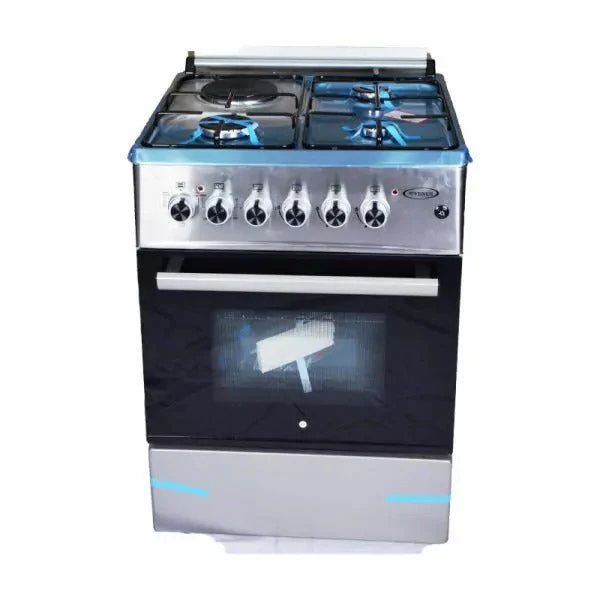 Dynastar VenusVC6631ESD 220 volt gas and electric range 24