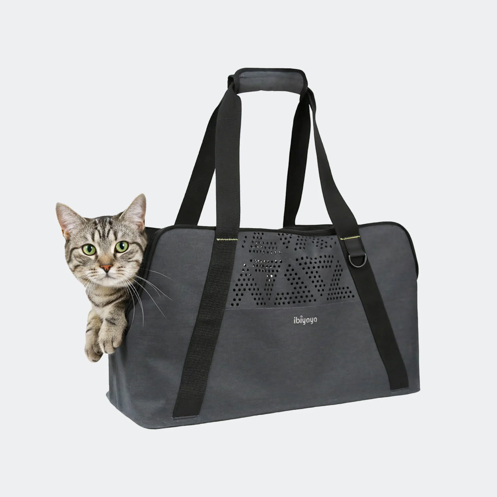 Dachshund Breezy Wanderer Fur-Free Pet Tote Bag