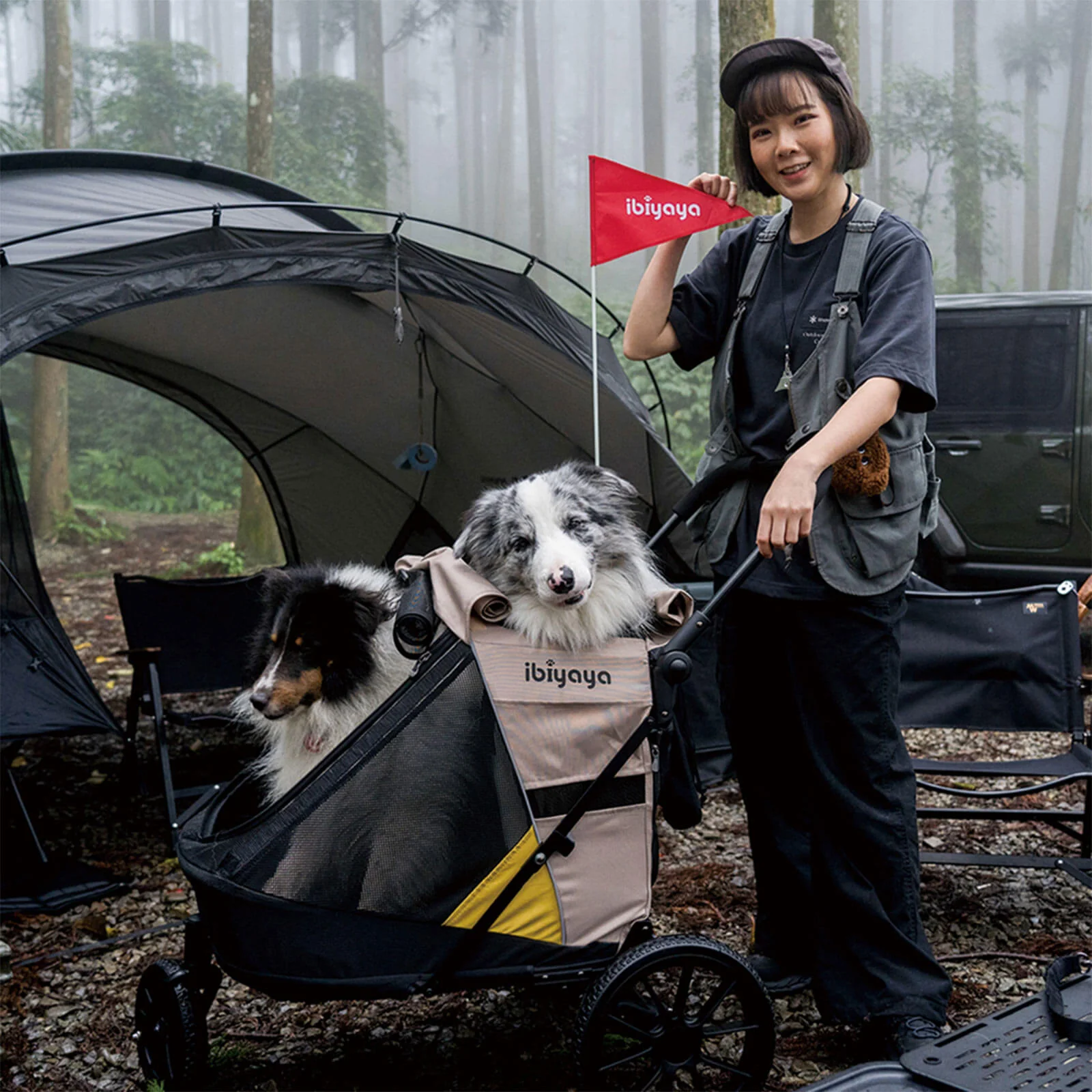 Minika 3-in-1 Pet Stroller System Foldable Dog Bicycle Trailer & Soft Crate Kennel 