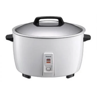 Panasonic SR-GA421 220 Volt Rice Cooker