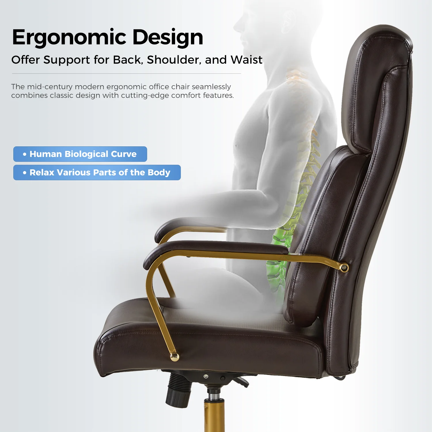 Bradford Ergonomic Office Chair with Lumbar Support in Brown