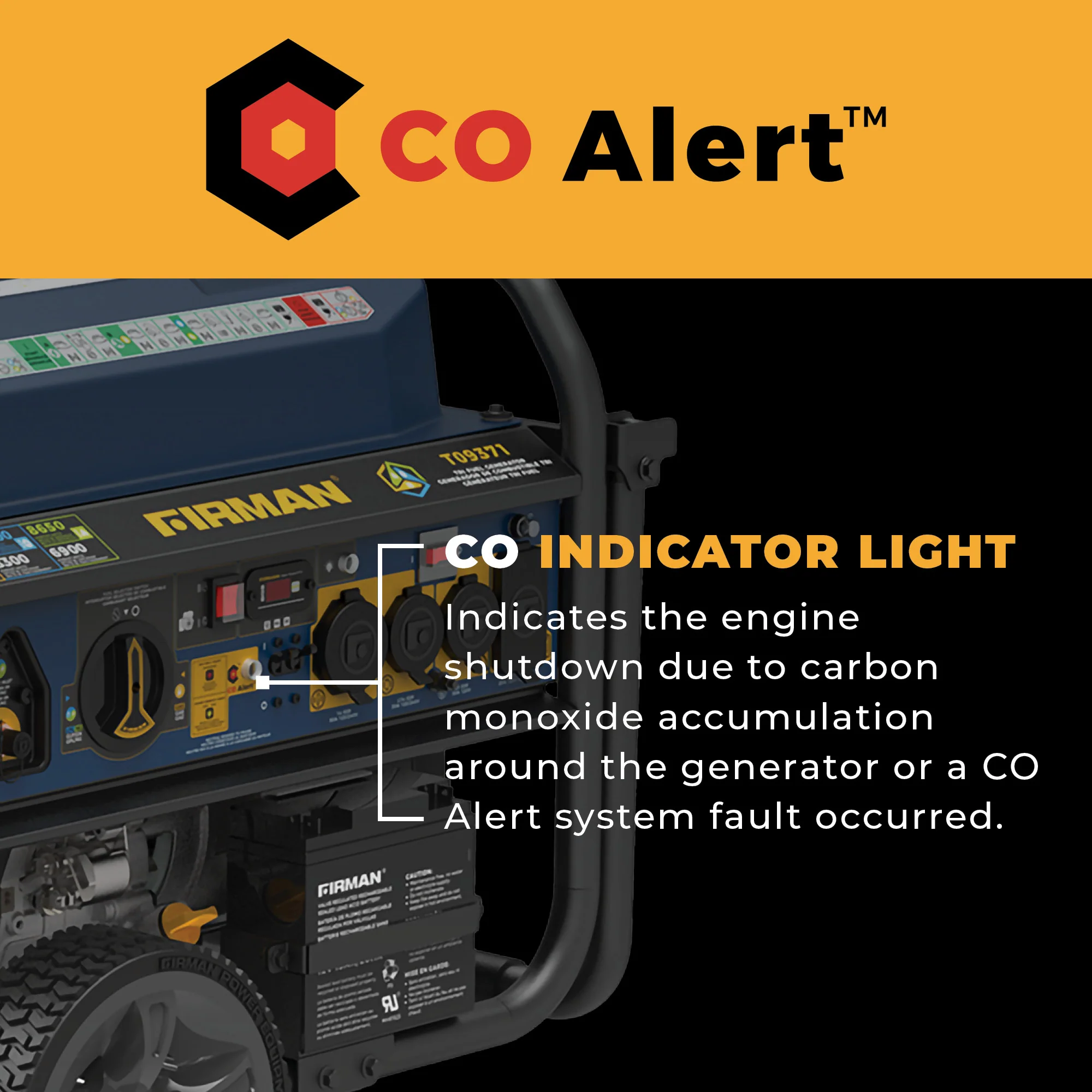 Tri Fuel Portable Generator 11600W Electric Start 120V/240V with CO alert