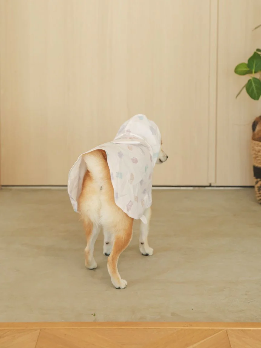 CAT&DOG Pet Rain Poncho