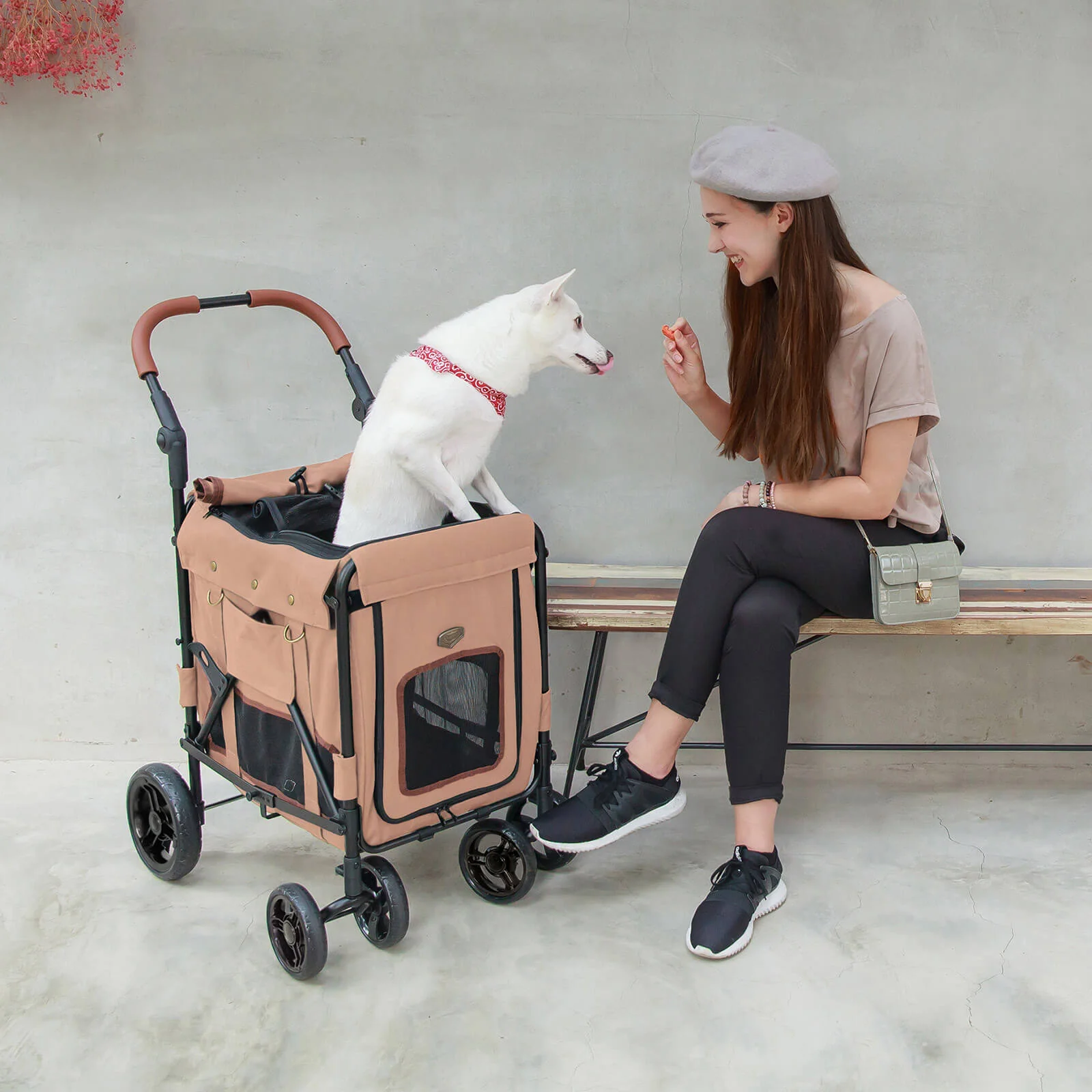 Gentle Giant Pet Wagon Stroller with Detachable Carrier